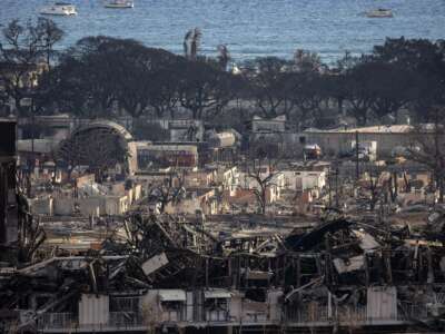 The burnt landscape of Maui, Hawaii, after the wildfire in August of 2023