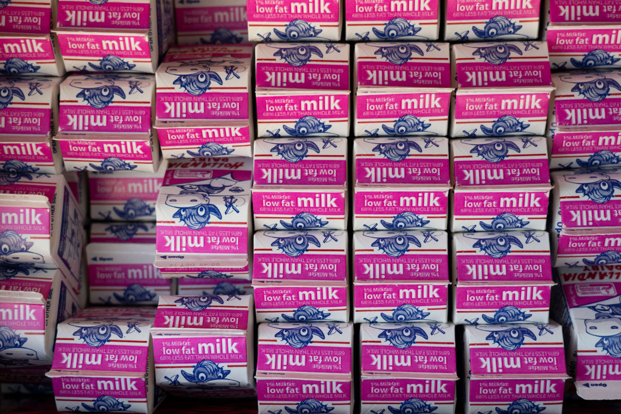 many-bipoc-students-are-lactose-intolerant-why-is-milk-still-their