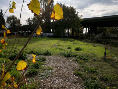 Land rematriated by the Sogorea Te` Land Trust is pictured within the two-acre plot of Planting Justice on November 22, 2017, in Oakland, California.