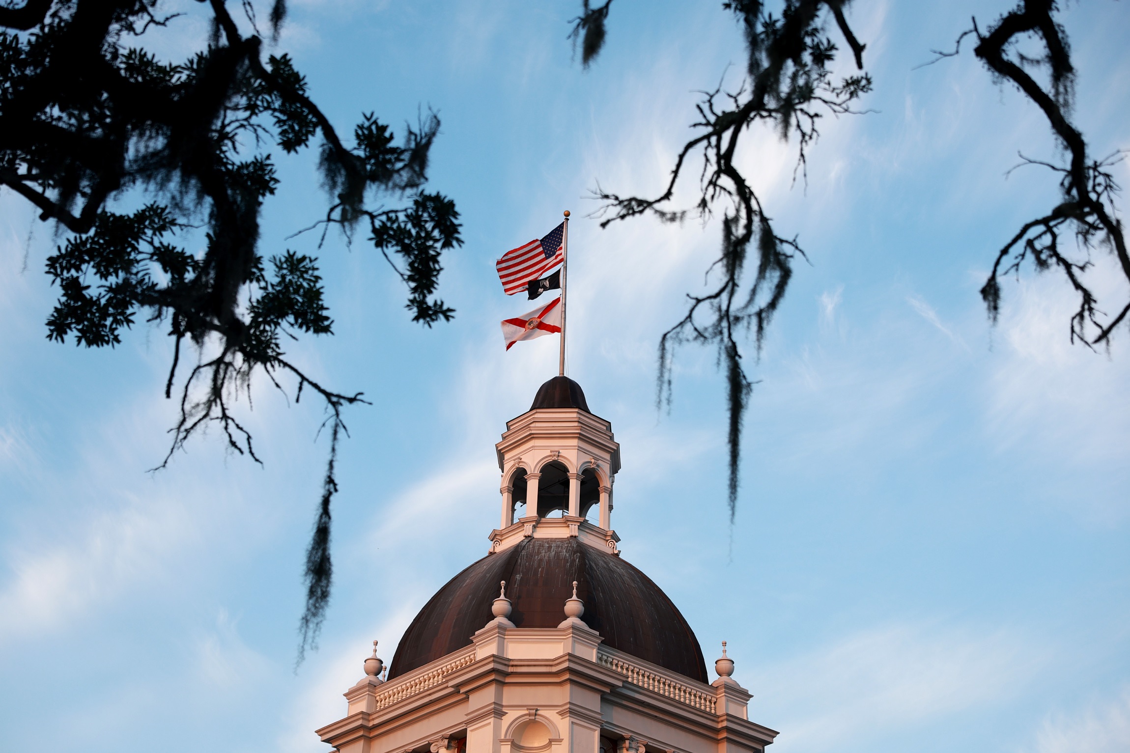 Florida Lawmaker Wants a Constitutional Amendment to Ban Reparations in State - Vimarsana News