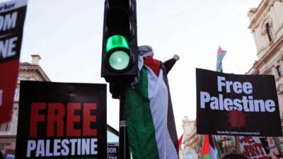 A person draped in the Palestinian flag stands on a light post and raises a fist while others around them display signs reading "FREE PALESTINE" during an outdoor protest