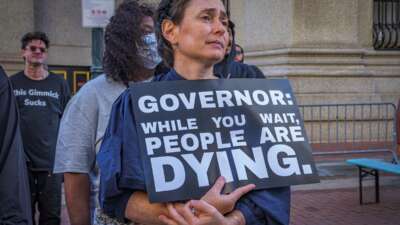 A protester holds a sign reading "GOVERNOR: WHILE YOU WAIT PEOPLE DIE" during an outdoor demonstration