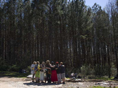 Environmental activists occupy Atlanta forest
