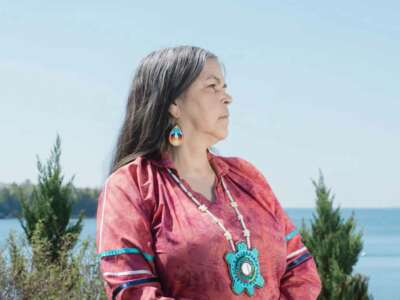 A woman wearing a light red tunic and an ornate beaded pendant stands outside among plants, and beside still water