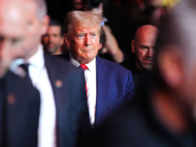 Former President Donald Trump is seen during the UFC 295 event at Madison Square Garden on November 11, 2023, in New York City.