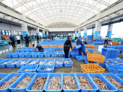 Fishery workers sort out seafood caught in offshore trawl fishing at Matsukawaura port in Soma City, Fukushima prefecture, on September 1, 2023, about a week after Japan began discharging treated wastewater from the TEPCO Fukushima Daiichi nuclear power plant.