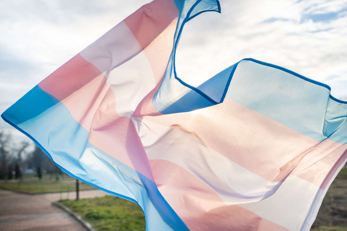 Transgender flag waving over sunny day