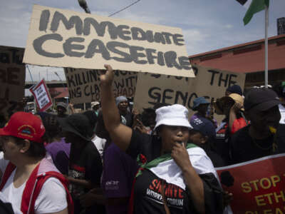 Demonstrators hold placards during a pro-Palestinian demonstration by various political parties and trade unions in Johannesburg, South Africa, on November 29, 2023.