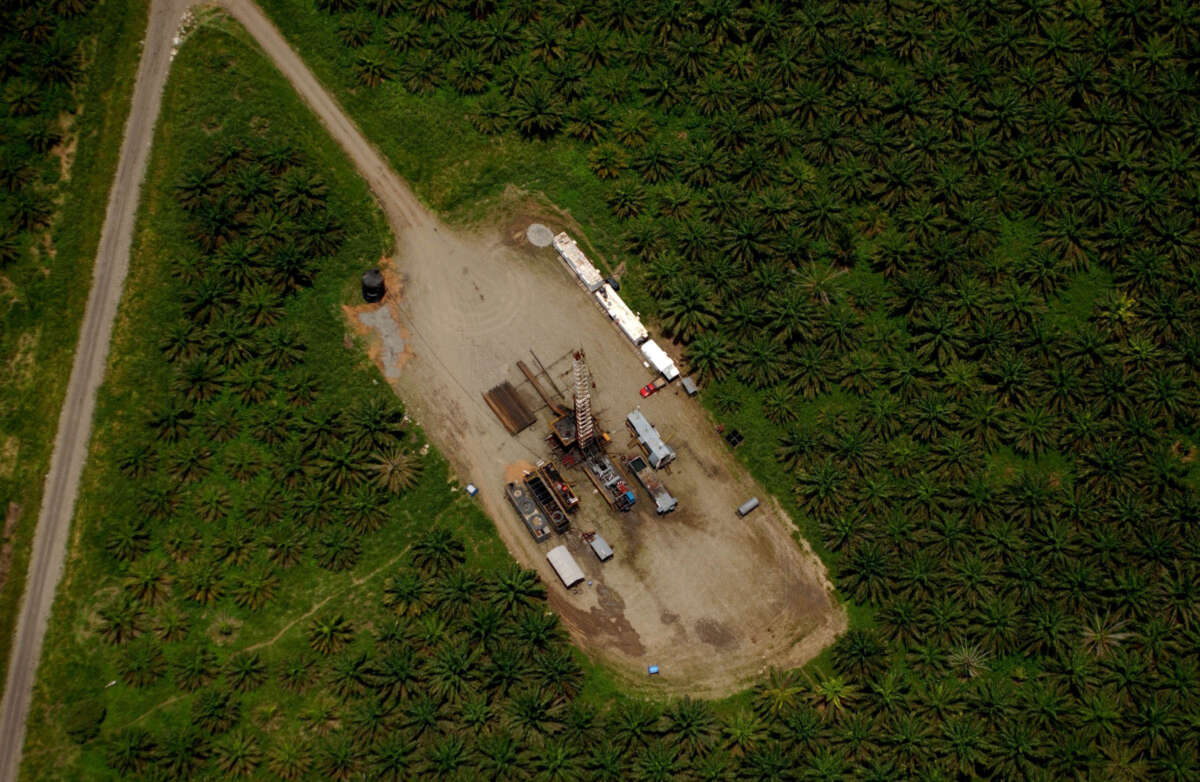 A Petroecuador oil rig in a field surrounded by an African Palm Plantation