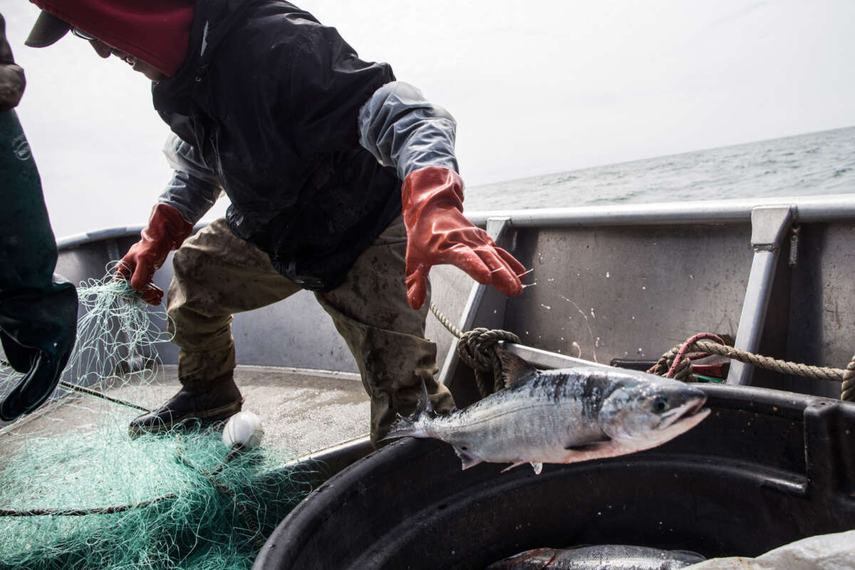 Joseph John Jr. and his son Jeremiah John haul in nets while salmon fishing on July 1, 2015, in Newtok, Alaska.
