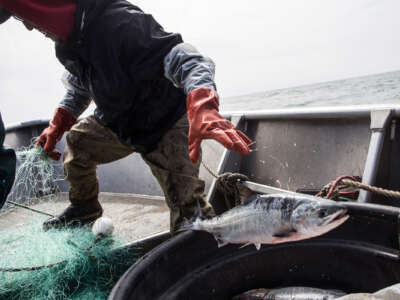 Joseph John Jr. and his son Jeremiah John haul in nets while salmon fishing on July 1, 2015, in Newtok, Alaska.