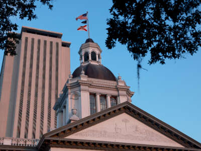 The Florida State Capitol is pictured in Tallahassee, Florida.