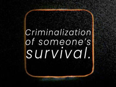 Screenshot with the text: Criminalization of someone's survival