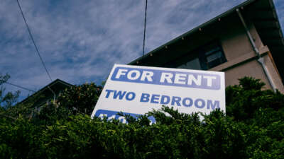 A sign reading 'For Rent / Two Bedroom" is seen in bushes in front of an apartment building, low angle.