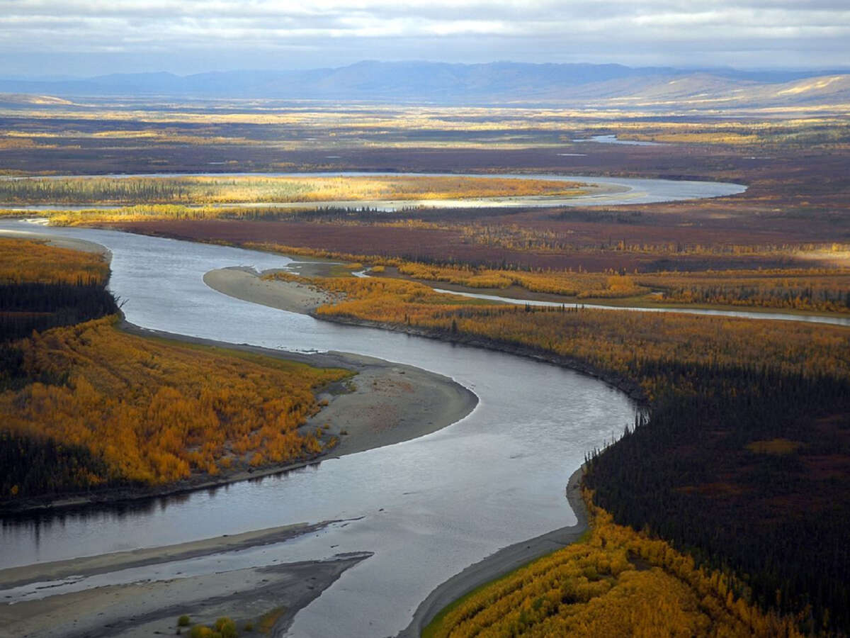 Proposed Road for Mining Project Could Have Devastating Impact on Alaska Habitat