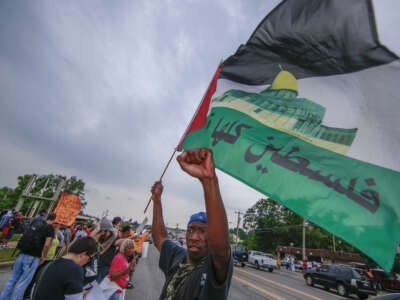 A protester waves a Palestinian flag at a protest against police brutality in Ferguson, Missouri