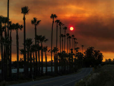 The sun filters through smoke from a brush fire about 300 acres, fueled by Santa Ana winds, dubbed the South Fire and triggered evacuations in the Somis area near Santa Paula, in Somis, California, on December 9, 2023.