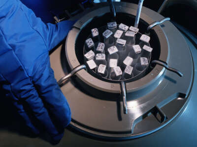 Frozen human embryos are pictured in a facility in New York on January 1, 1997.