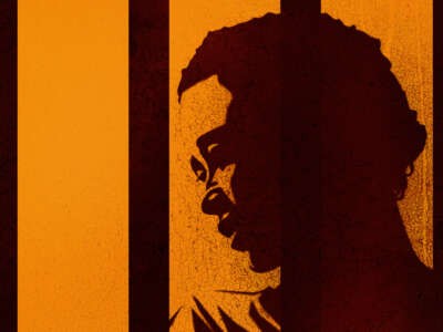 Illustration of woman in shadows behind bars with cracked texture and red/orange colors