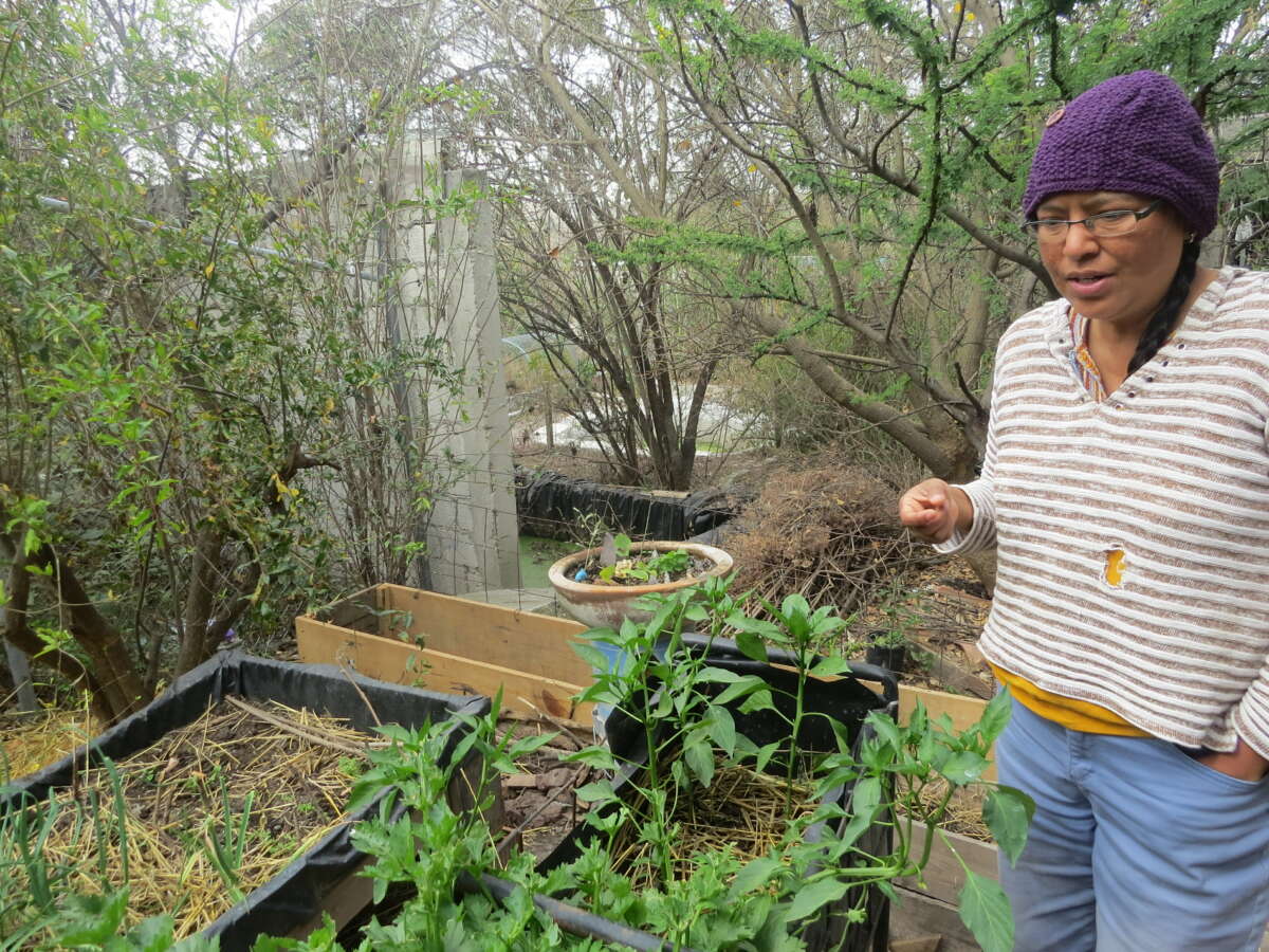 Selene Agustin, activista de la permacultura.
