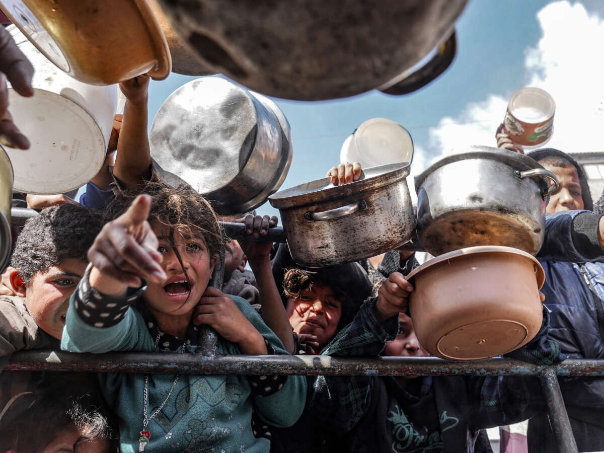 There Are 1 Million Cases of Infectious Disease in Gaza, Health Ministry Says
