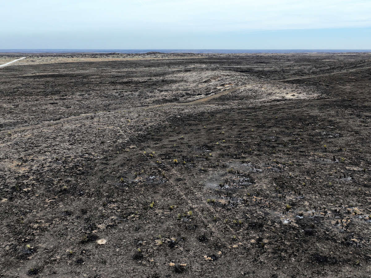 Largest Wildfire in Texas History Foretells Future of Worsening Climate Disaster