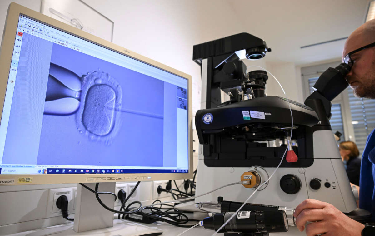 In a cell laboratory at the Fertility Center Berlin, an electron microscope is used to fertilize an egg cell on January 17, 2024.