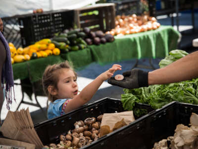 A girl pays for her mother's groceries using Electronic Benefits Transfer (EBT) tokens at the GrowNYC Greenmarket in Union Square on September 18, 2013, in New York City.