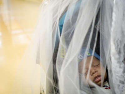 Misael Carrasquillo, 2 months old, sleeps in a mosquito net covered baby stroller next to his identical twin brother Ismael during a visit for regular vaccinations at a primary care health clinic in Loiza, Puerto Rico, on August 30, 2016.