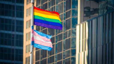 Transgender and LGBTQ pride flags fly in front of buildings
