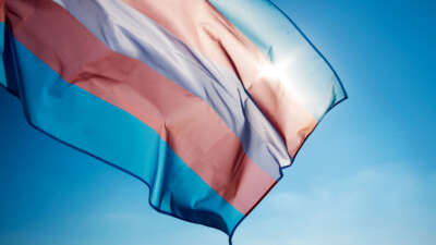 Transgender flag flying over blue sky