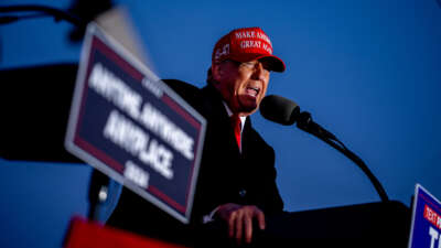 Former President Donald Trump speaks at a campaign rally outside Schnecksville Fire Hall on April 13, 2024, in Schnecksville, Pennsylvania.