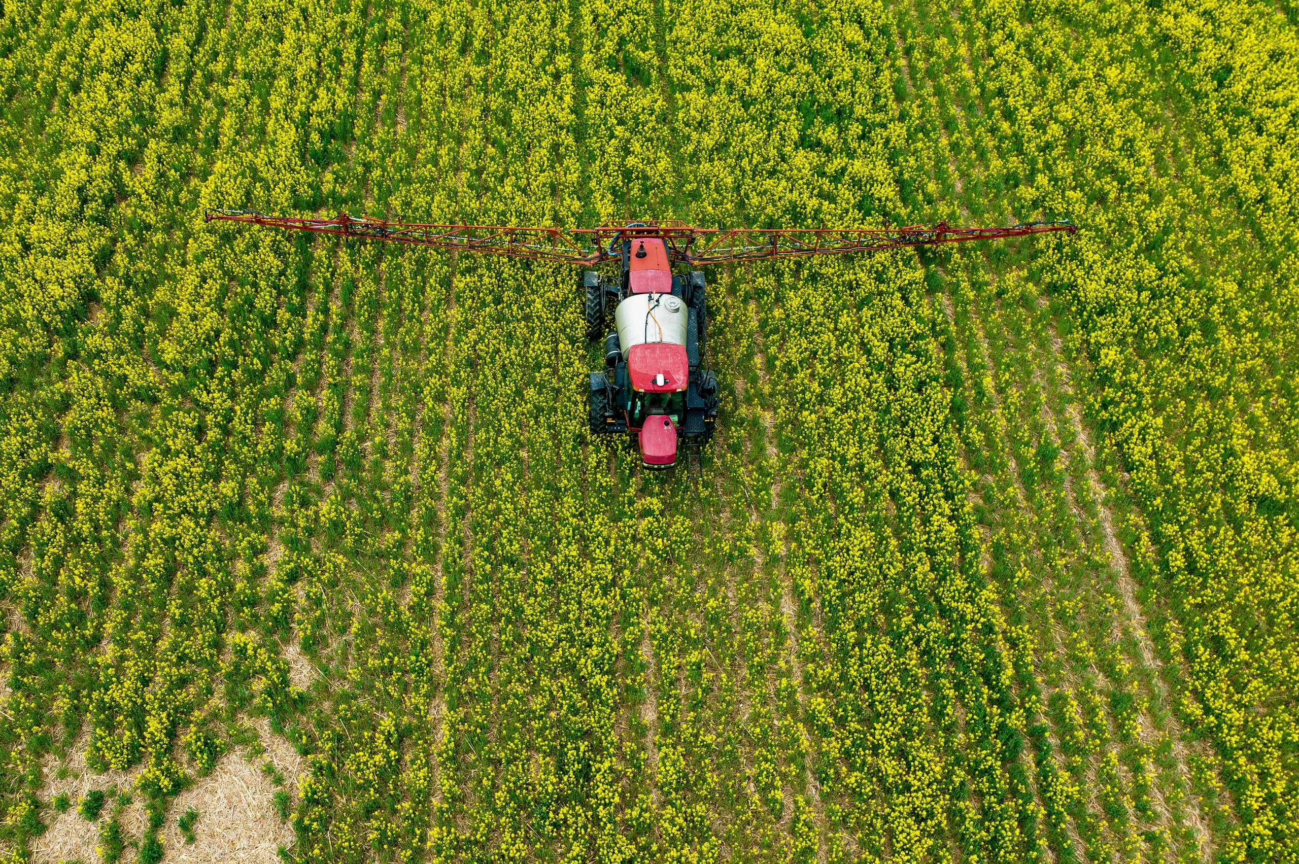 Your Food Could Have 10 Times as Much of This Toxic Pesticide Under New Proposal - Vimarsana News