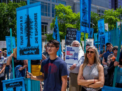 A crowd of hundreds gathers in Director Park for the #YouthvGov for the Right to a Livable Future rally on June 4, 2019, in Portland, Oregon.