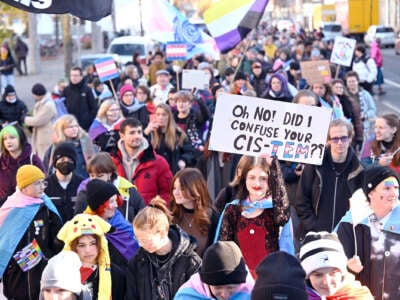 A protester holds a sign reading "Oh no! Did I confuse your Cis-tem?" during an outdoor protest