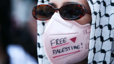 A protester with a medical mask reading "FREE PALESTINE" participates in an outdoor protest