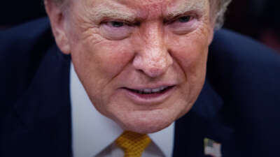 Donald Trump's face