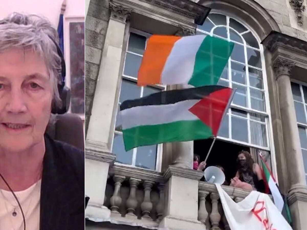 Irish Lawmaker: Recognizing Palestine as a State Is Essential Step Toward Peace