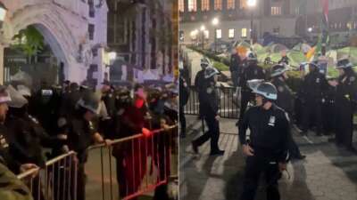 300+ Arrested in Police Raids on Columbia and CCNY to Clear Gaza Encampments