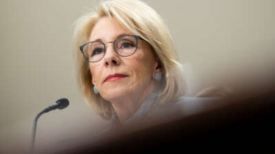 Then-Education Secretary Betsy DeVos testifies before the House Appropriations Committee's Labor, Health and Human Services, Education and Related Agencies Subcommittee in Washington, D.C., on February 27, 2020.