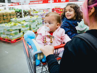 Kids in grocery cart at store