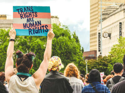 A sign reads 'trans rights are human rights', held by a person facing away during a protest