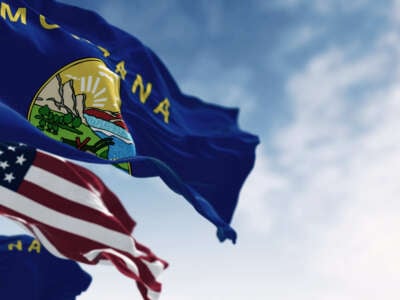 Montana state flags and USA flag billowing over blue sky