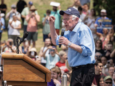 Sen. Bernie Sanders speaks during a rally in the Bronx in support of re-election of Jamaal Bowman for Congress at St. Mary's Park on June 22, 2024.