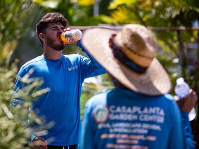 A worker in a blue shirt drinks a gatorade while another worker in the foreground watches