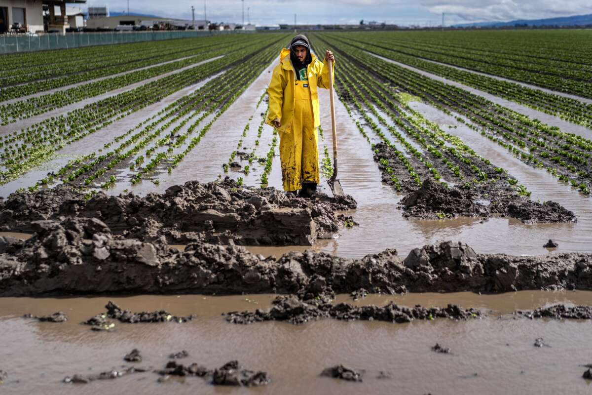 During a break in the rain farm workers drain lettuce fields of flood water as an atmospheric river storm slams California in Salinas, California, on Friday March 10, 2023.