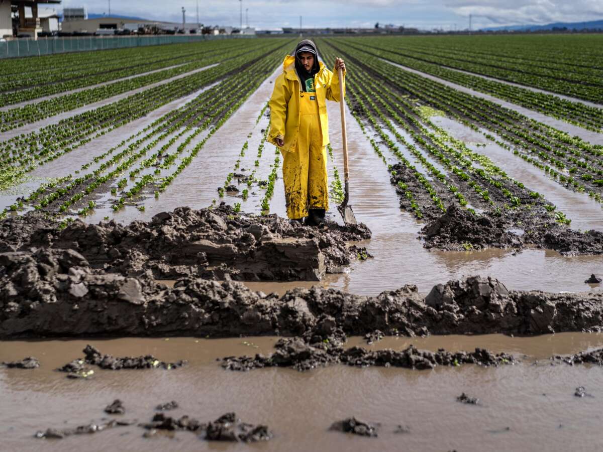 How US Disaster Response Leaves Farmworkers to Fend for Themselves