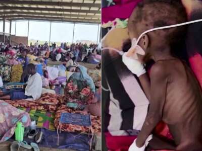 Famine in Sudan: Activist Marine Alneel Says International Community Must Act