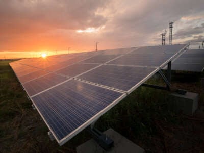 Solar panels with sun at horizon