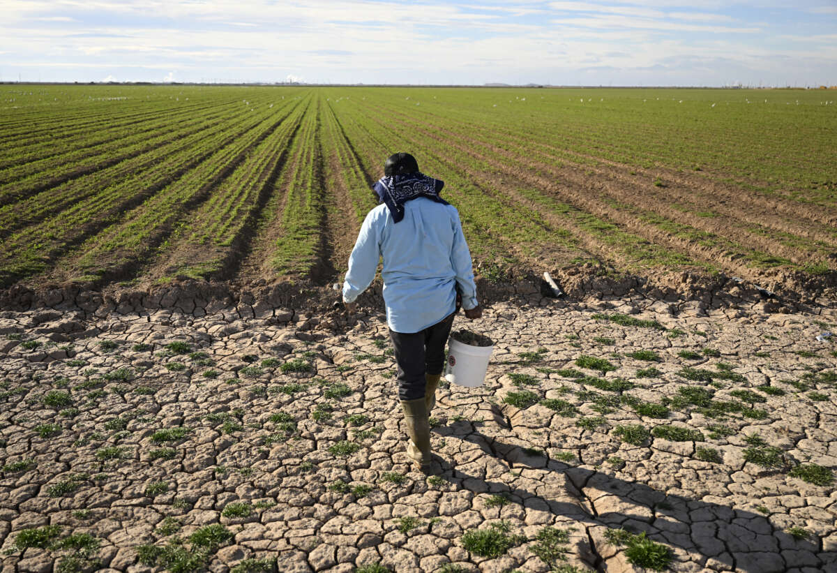 Farmhand Adrian Gonzalez works in a field of newly planted alfalfa in California’s Imperial Valley. The valley depends solely on the Colorado River for its surface water supply.